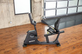 10-6875 Fabrication Enterprises, Inc. SportsArt C574R Elite Eco-Natural Recumbent Cycle