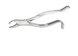 DEF24 Integra Miltex EXTRACTING FORCEPS 24