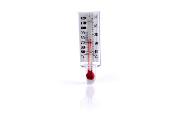 1635 Medline (formerly Teleflex)  Disposable Thermometer, 50/CS