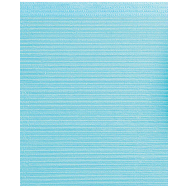 Crosstex International ULTRAGARD® WUXBL Towel, 2-Ply Paper, Poly, 19in. x 16in., Blue, 500/cs , case