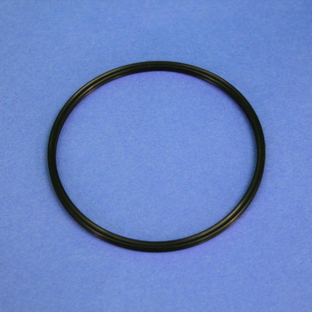 06808LS LabStrong NANOpure II O-Ring Canister Gasket