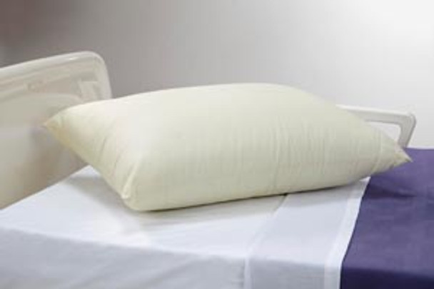 Encompass Group/The Pillow Factory TPF-0068 Pillow, Beige, 21in. x 27in., Medium Loft, 12/cs , case