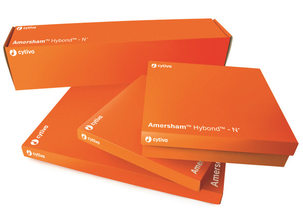 RPN2020B Cytiva Membrane, Nylon, Positively Charged, 20cm x 20cm, 10 sheets/pk (Ships on ice)