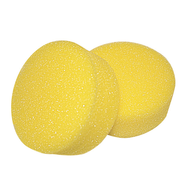 45-2375 Fabrication Enterprises, Inc. Replacement sponges for back scrubbers, 2ea