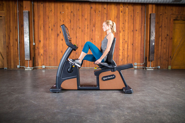 10-6871 Fabrication Enterprises, Inc. SportsArt C576R Status Eco-Natural Recumbent Cycle