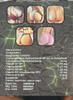 Black Maca Plus Pills 2