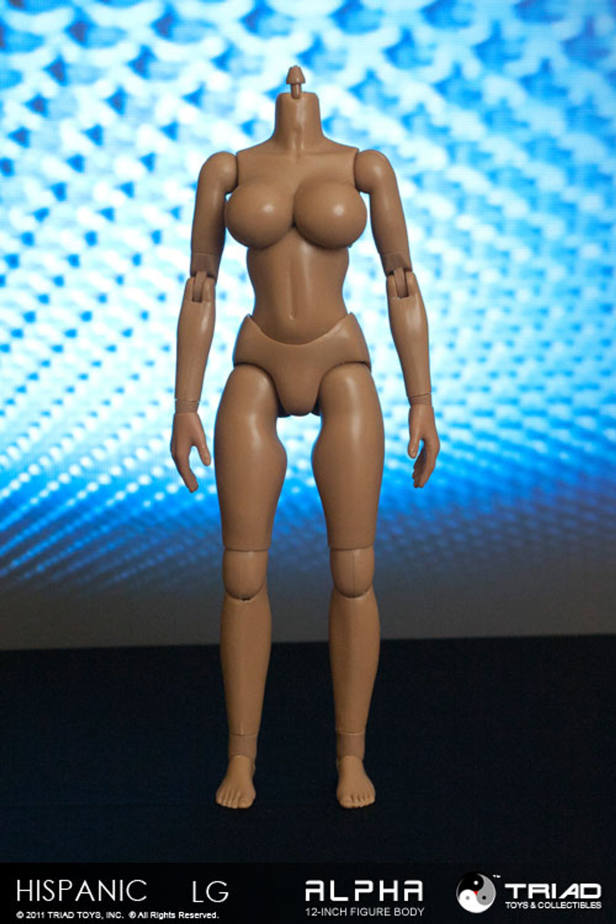 Triad - Female Body - Alpha - Hispanic Headless Large Breast