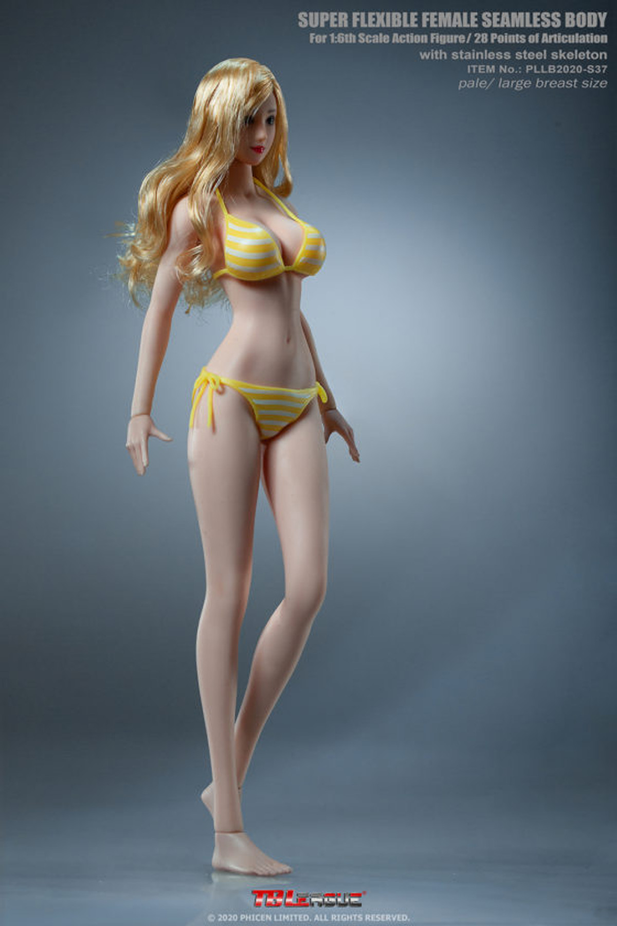Female Super-Flexible Seamless Bodies Large Bust with Head - Two Versions -  TBLeague 1/12 Scale Figure