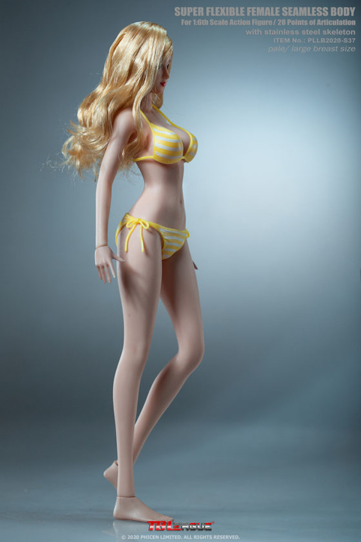 1/6 Scale Female Seamless Body (Pale & Large Bust)