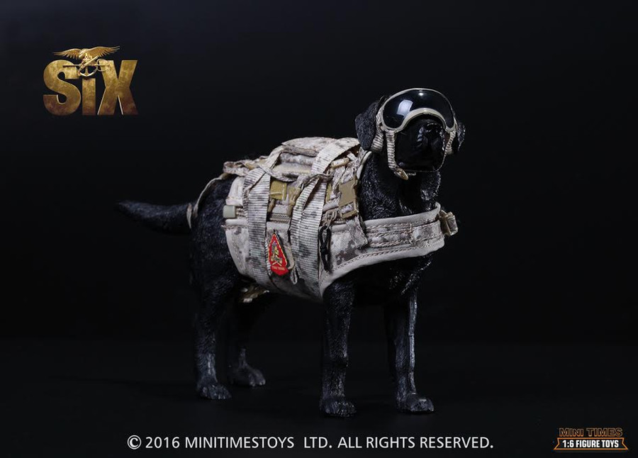 Mini Times - US Navy SEAL Team Six DEVGRU