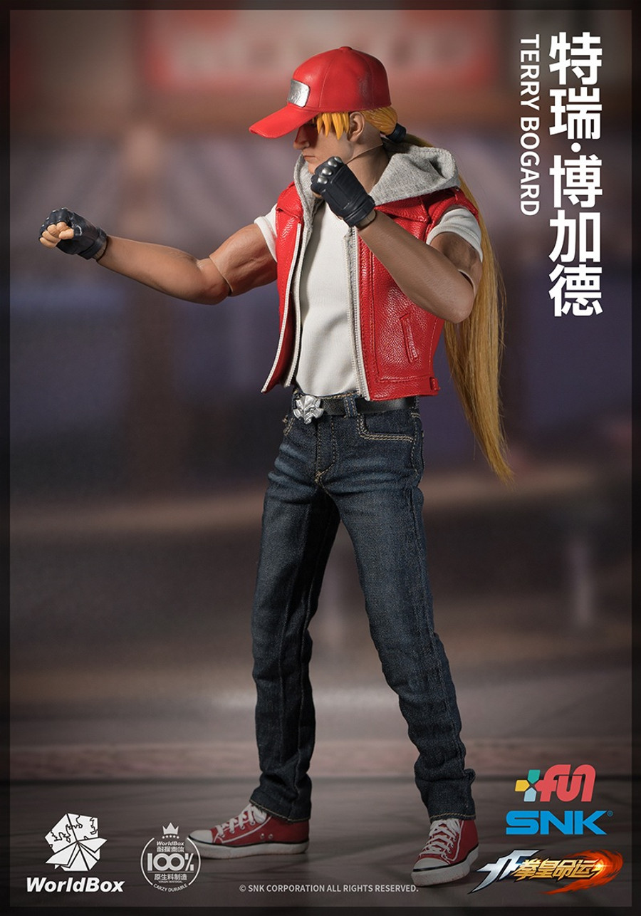 World Box - The King of Fighters Terry Bogard