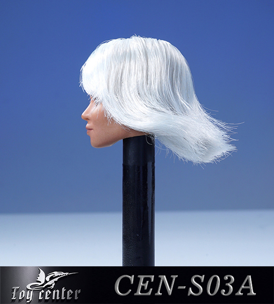 Toys Center - Female Headsculpt with White Hair