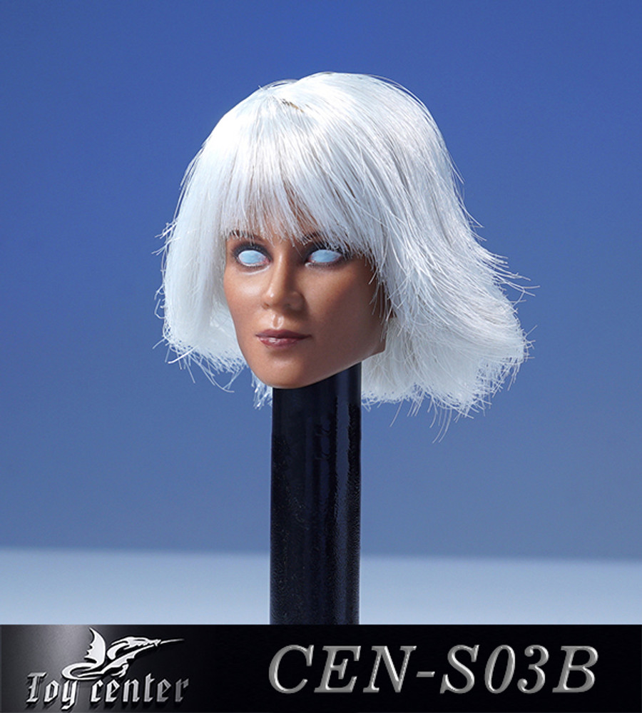 Toys Center - Female Headsculpt with White Hair