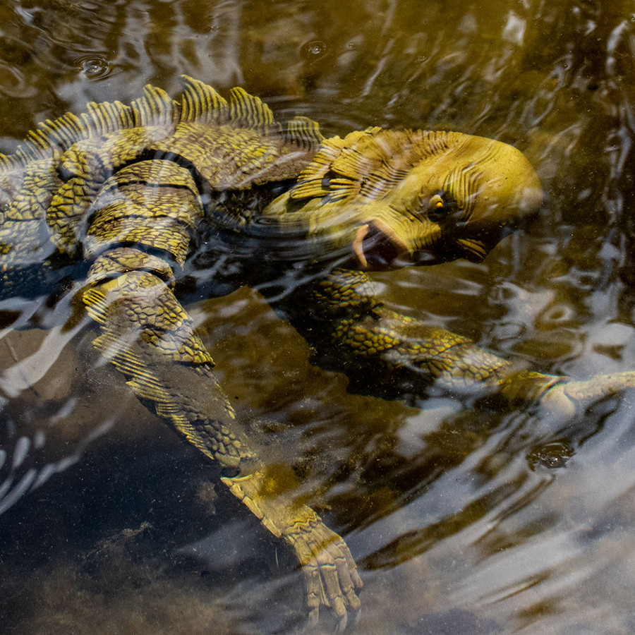 Mondo  - Creature from the Black Lagoon