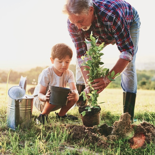 Donation for Financial Aid