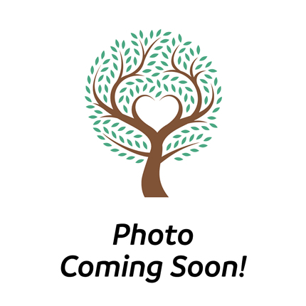 8th Grade New Enrollment, 3 subjects w/Lab (2026, no  Math)