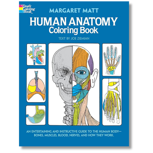 Human Anatomy Coloring Book - Margaret Matt | Oak Meadow