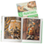Painting Course Package