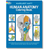 Human Anatomy Coloring Book - Margaret Matt | Oak Meadow