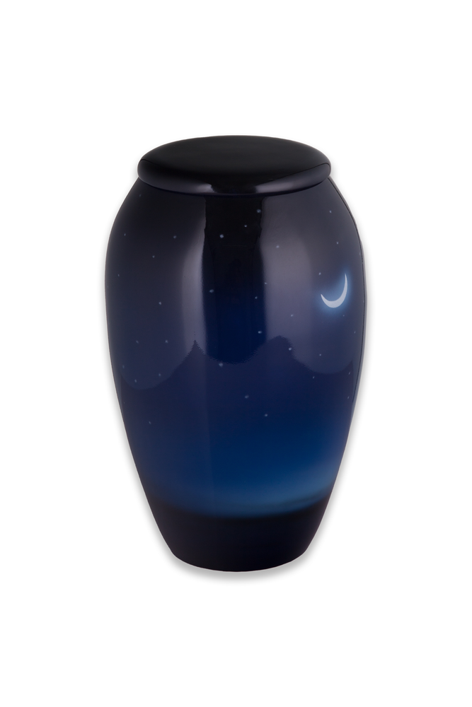 Starry Night Sky Standard Size Urn