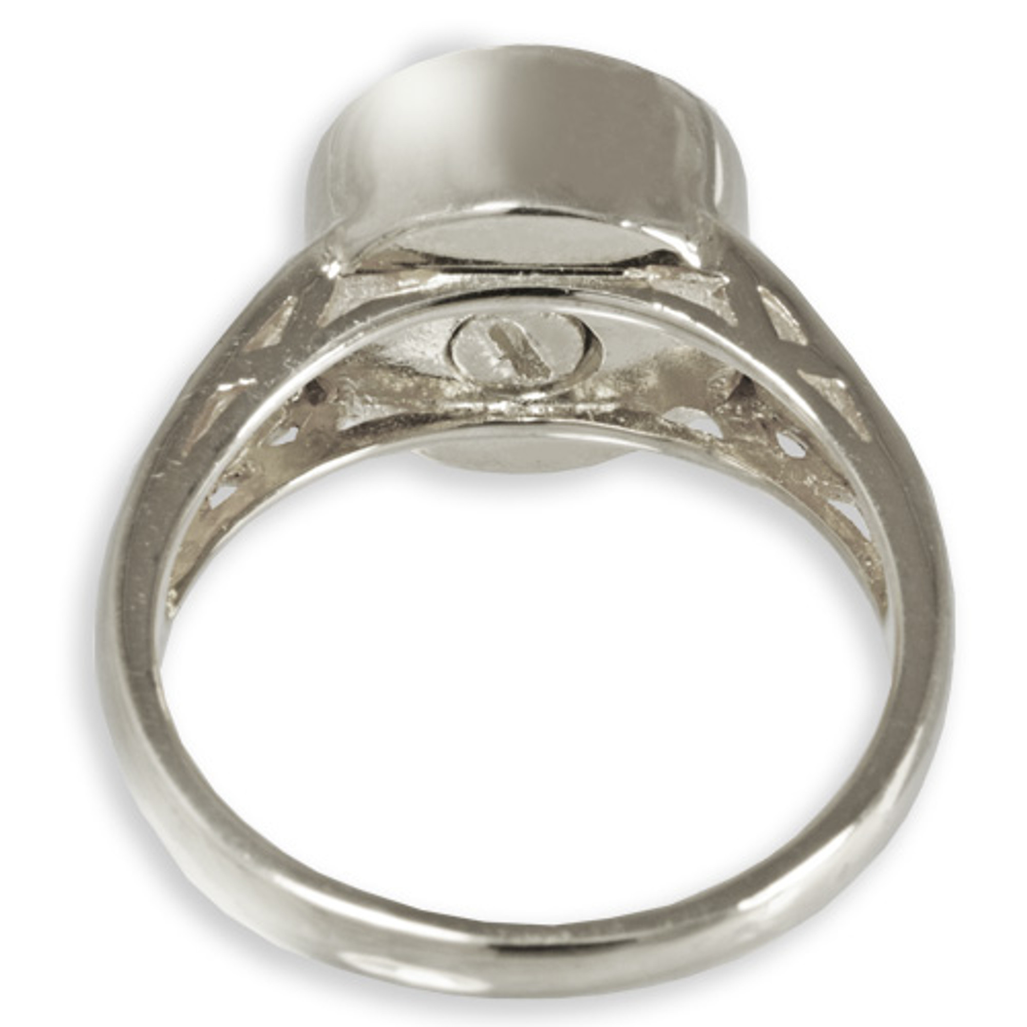 Pet Memorial Ring With Ashes & Fur | Jewelry by Johan - Jewelry by Johan