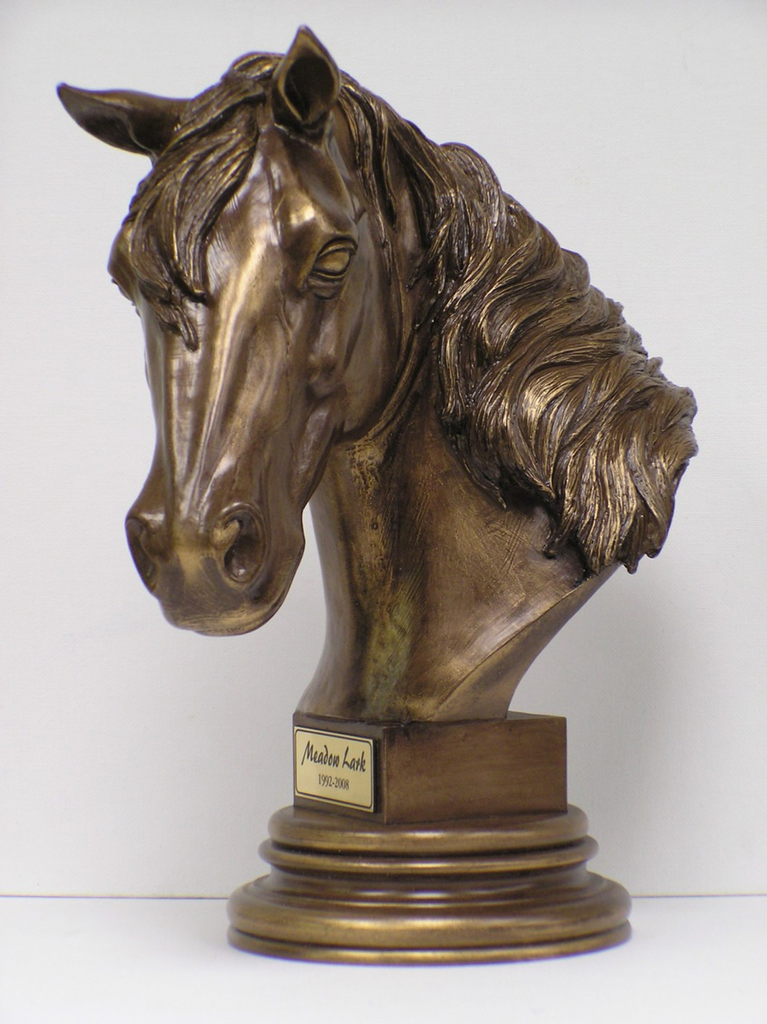 Keepsake Gallery — More Than A Horse Keepsakes