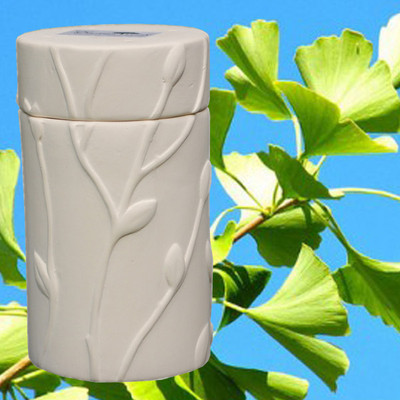 Biodegradable Memorial Tree Urn - Ginkgo Biloba (Planting Zones 3-10)