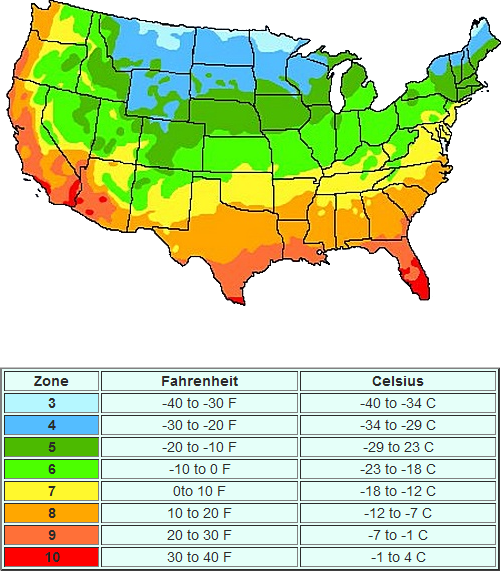 Planting Zones for Memorial Tree Urns