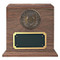 Air Force Medallion Walnut Military Urn