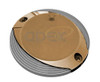 Scallop bronze Scallop bronze