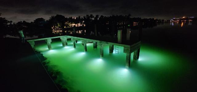 New Concrete dock in Miami Beach with Kraken Underwater Lights