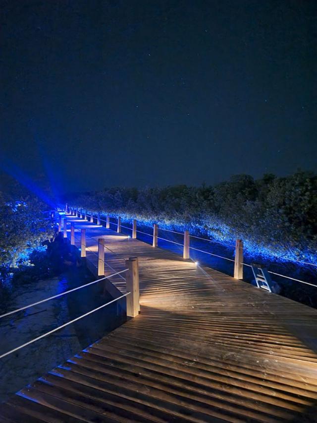 Stock Island Marina in Key West with Lumitec Scallop Pathway Lights around the walkway