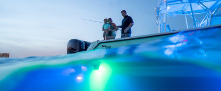 4 Interesting Facts You Should Know About Waterproof LED Lights