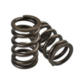 IAG Single Valve Spring Set For Subaru EJ20 & EJ25 Engines IAG Single Valve Spring Set For Subaru EJ20 & EJ25 Engines