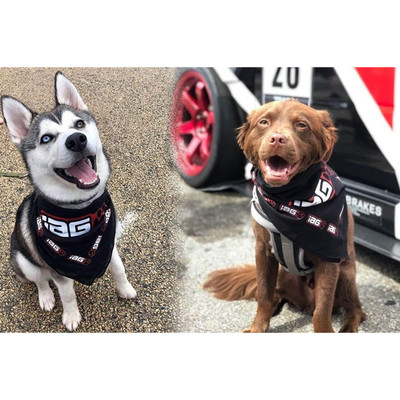 IAG Performance Doggo Swag Pack IAG Performance Doggo Swag Pack