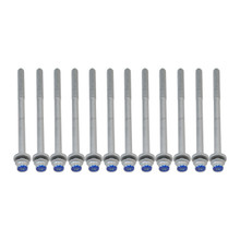Subaru Head Bolt Set For 2002-14 Subaru WRX, 04-21 STI, 04-13 FXT, 05-09 LGT (12) Subaru Head Bolt Set For 2002-14 Subaru WRX, 04-21 STI, 04-13 FXT, 05-09 LGT (12)