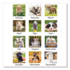 Puppies Monthly Desk Pad Calendar, Puppies Photography, 22 x 17, White Sheets, Clear Corners, 12-Month (Jan To Dec): 2026