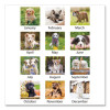 Puppies Monthly Wall Calendar, Puppies Photography, 15.5 x 22.75, White/Multicolor Sheets, 12-Month (Jan To Dec): 2026