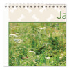 Puppies Monthly Wall Calendar, Puppies Photography, 15.5 x 22.75, White/Multicolor Sheets, 12-Month (Jan To Dec): 2026