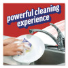 Dish Detergent, Lemon Scent, 28 Oz Bottle