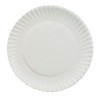 White Paper Plates, 7" Dia, 100/Pack, 10 Packs/Carton