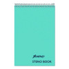 Steno Pads, Blue Cover, Gregg Rule, (80) Green-Tint 6 x 9 Sheets