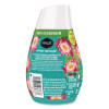 Adjustables Air Freshener, After The Rain, 7 Oz Solid, 12/Carton