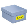 High-Vis Removable Laser/Inkjet Id Labels w/ Sure Feed, 1 x 2.63, Neon, 360/Pk