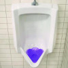 Anti-Splash Urinal Screen, Lavender Scent, Purple, 1 Lb, 60/Carton
