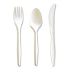 Three-Piece Cutlery Kit, Mediumweight, Fork/Knife/Spoon, 6.97", Plastic, White, 250/Carton