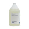 Foaming Hand Soap Refill, Herbal Mint Scent, 1 Gal, 4/Carton