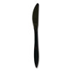 Mediumweight Polypropylene Cutlery, Knife, Plastic, Black, 1,000/Carton