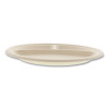 Bagasse Pfas-Free Dinnerware, 3-Compartment Plate, Sugarcane, 10" Dia, Tan, 500/Carton