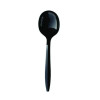 Mediumweight Polypropylene Cutlery, Soup Spoon, Plastic, Black, 1,000/Carton
